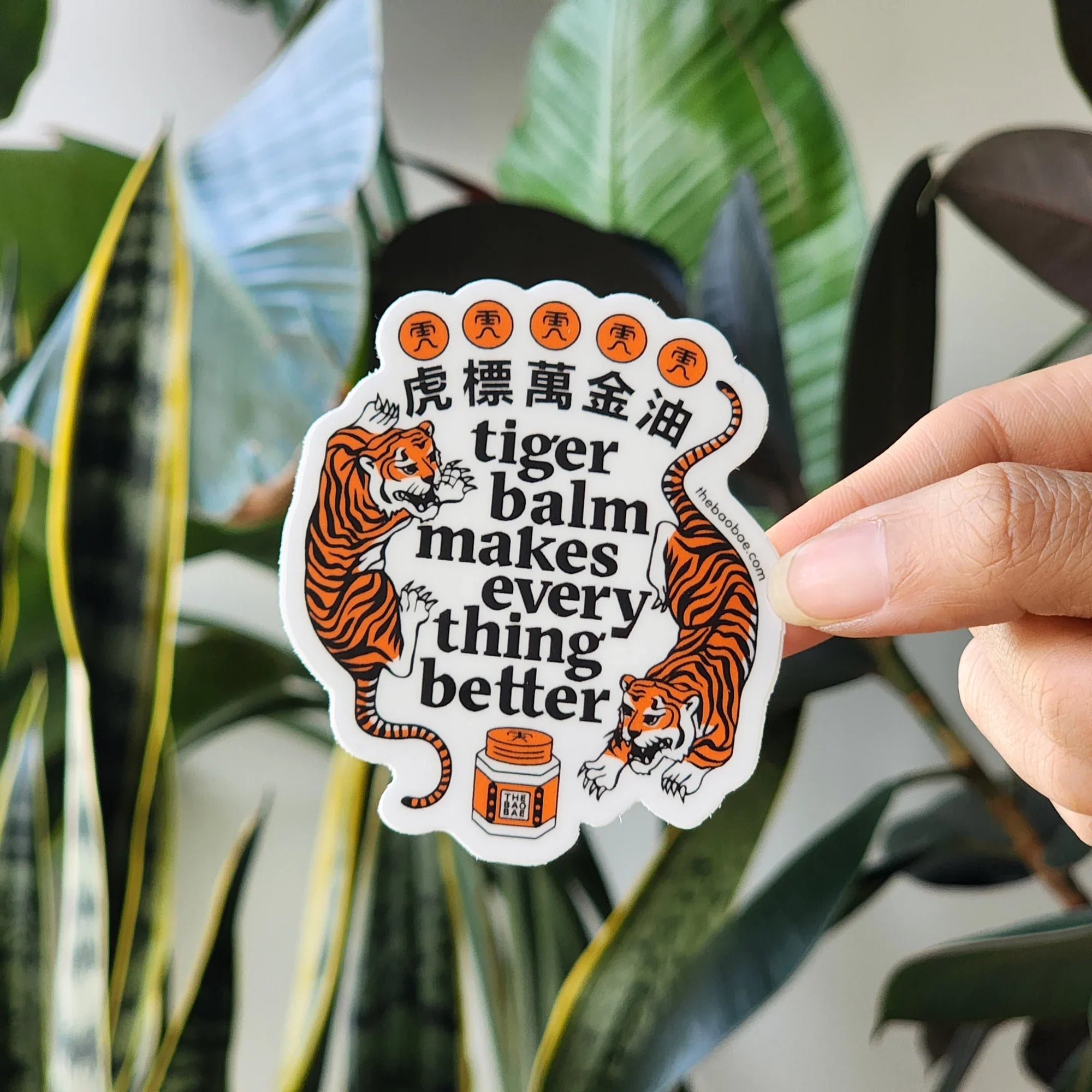 The Bao Bae