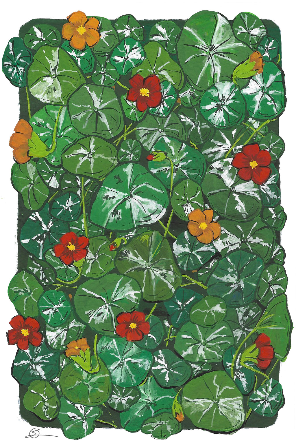 Nasturtium 4” x 6” Art Print