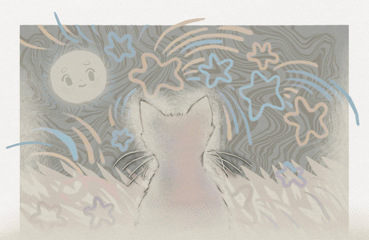 Starry Cat Print