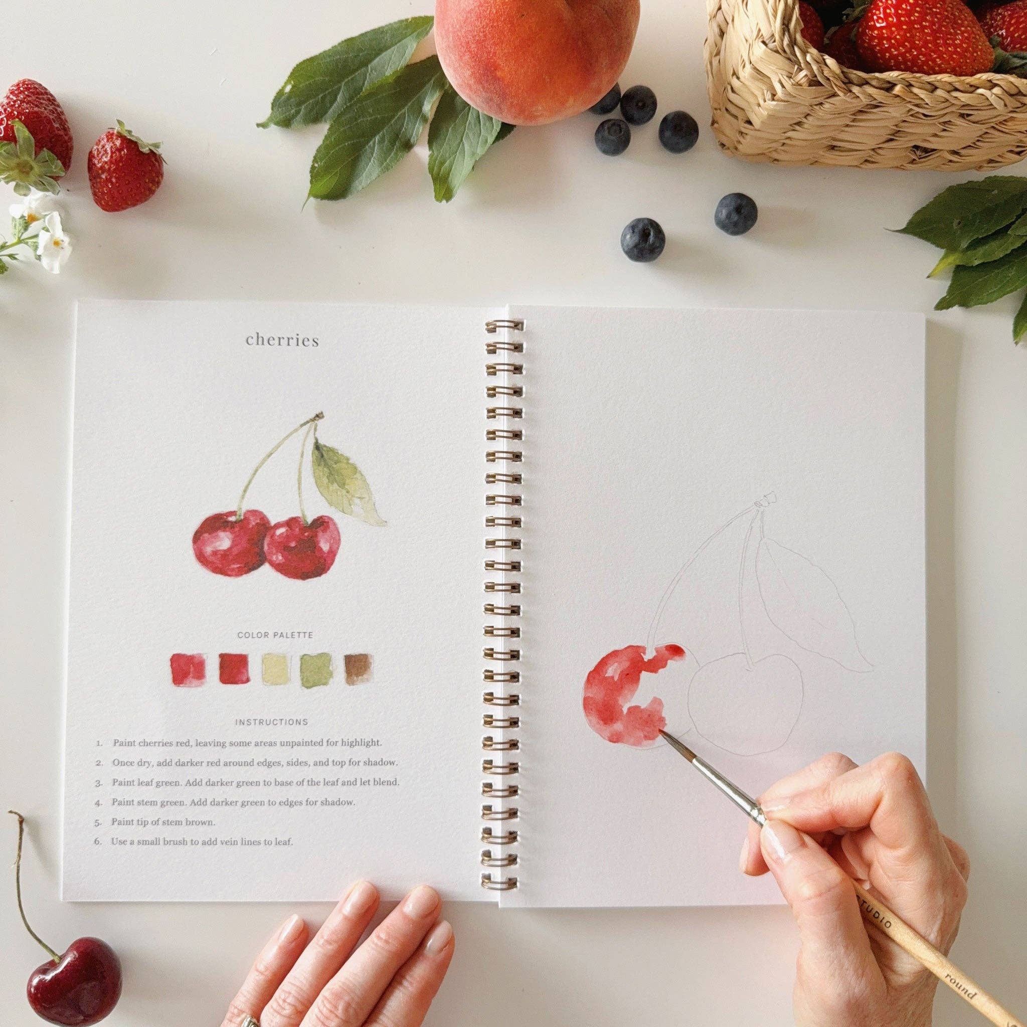 Emily Lex Studio - Fruit watercolor workbook