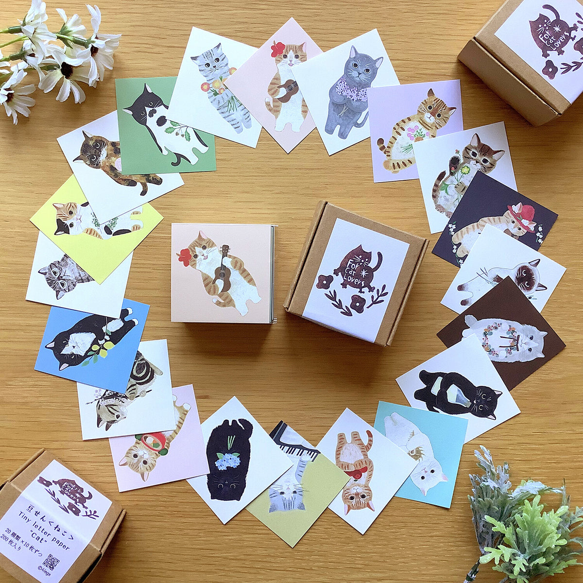 4legs Small Letter Paper Box - Cats