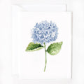 Emily Lex Studio - Hydrangea stem notecards