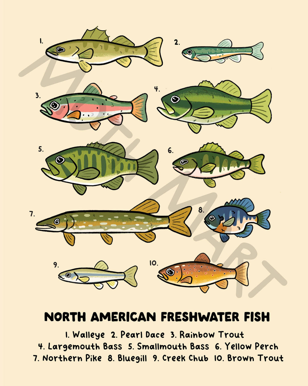 Freshwater Fish Art Print