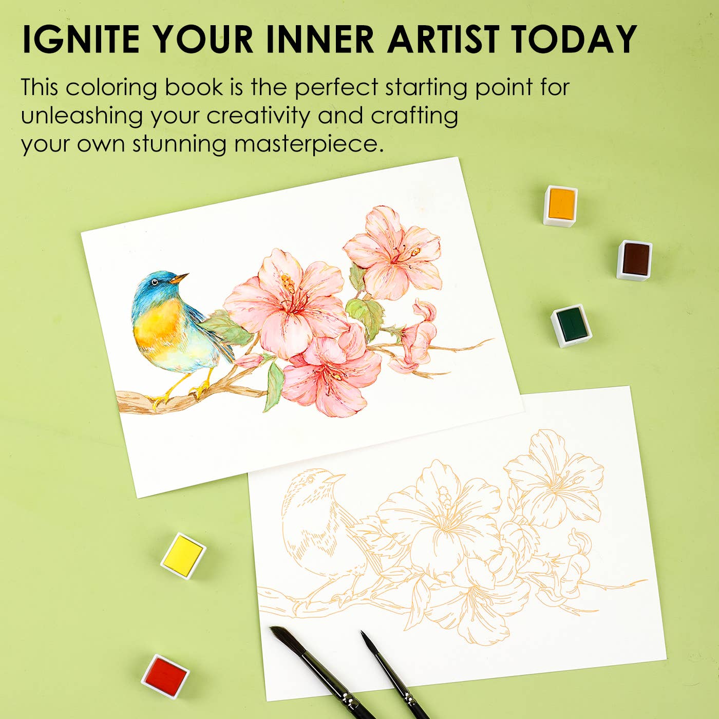 Grabie - 140LB Floral-Themed Watercolor Coloring Book
