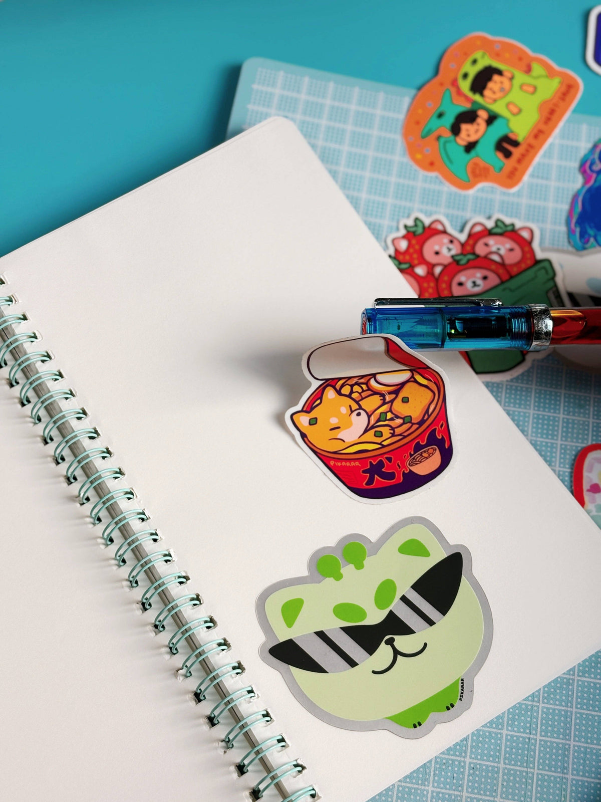 Pikarar Sticker Books
