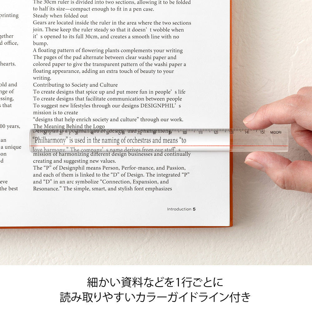 15cm Magnifying Ruler