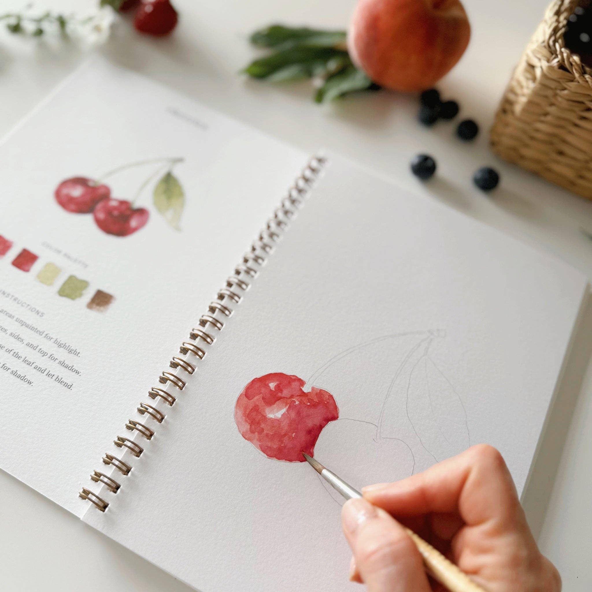 Emily Lex Studio - Fruit watercolor workbook