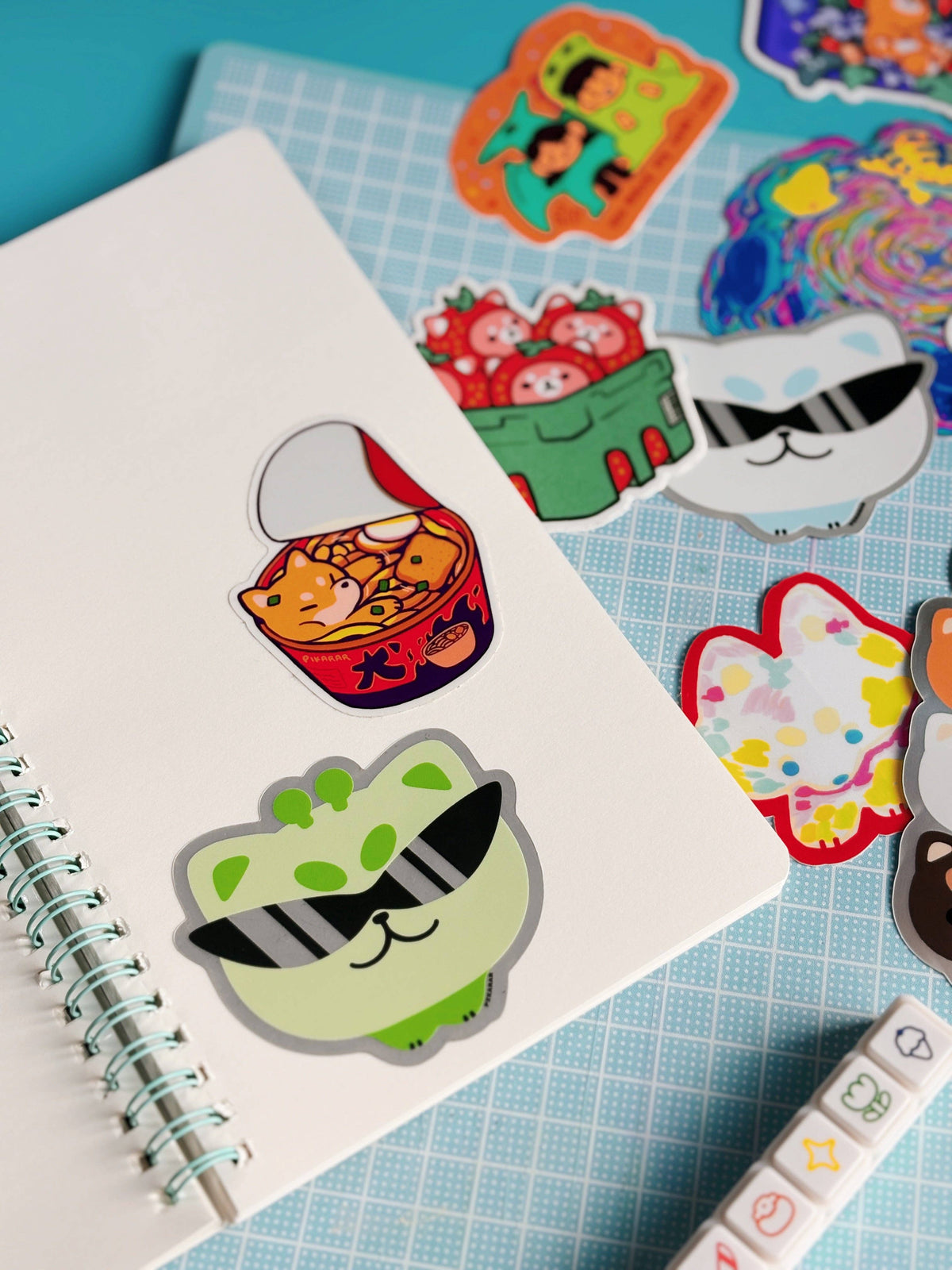 Pikarar Sticker Books