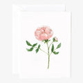 Emily Lex Studio - Garden rose notecard