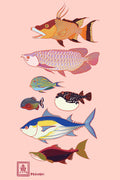 Fishes Postcard