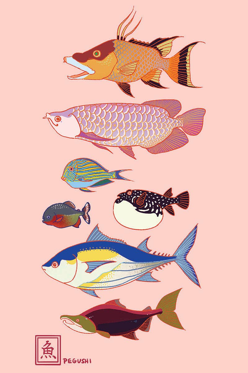 Fishes Postcard