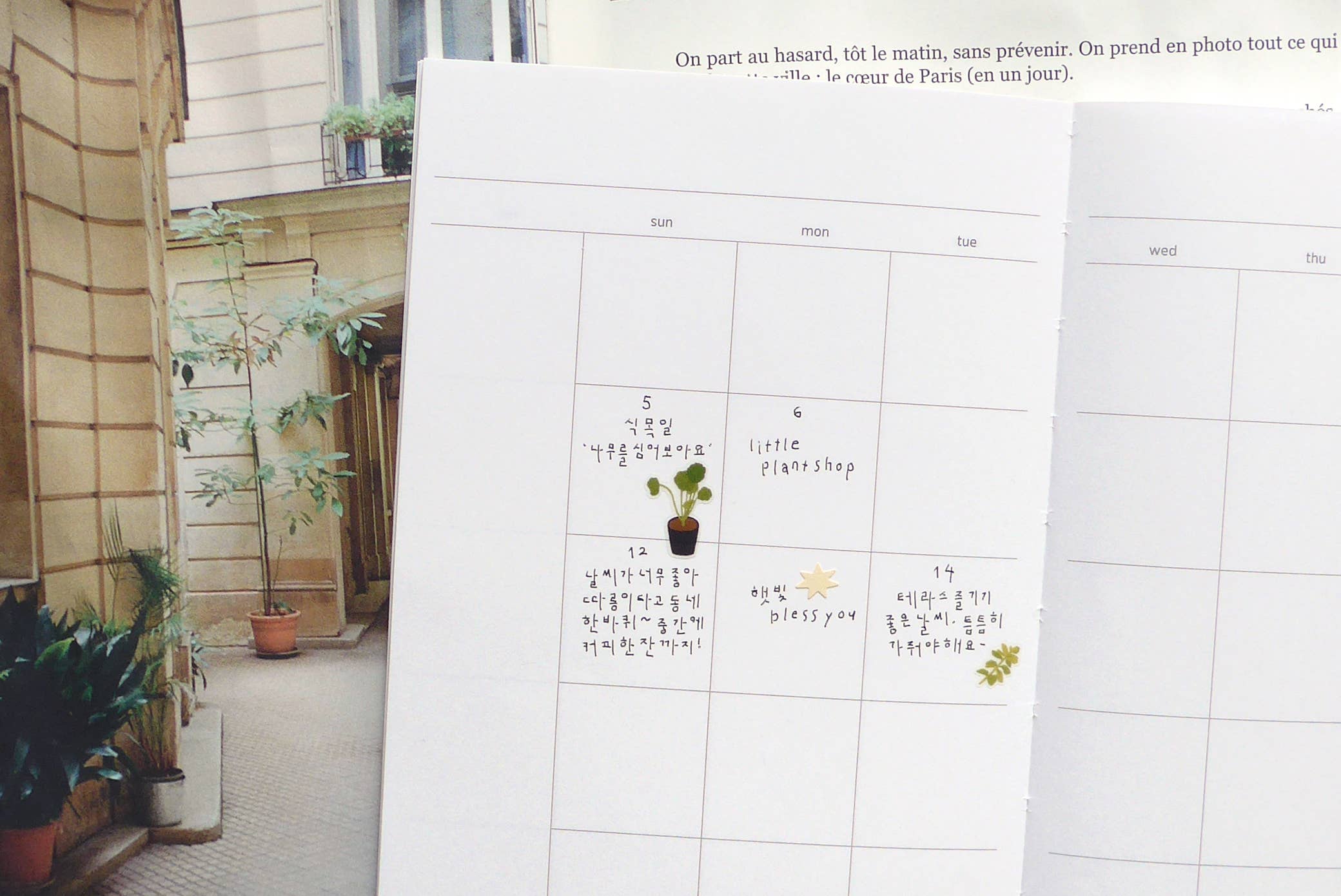 Little plant shop