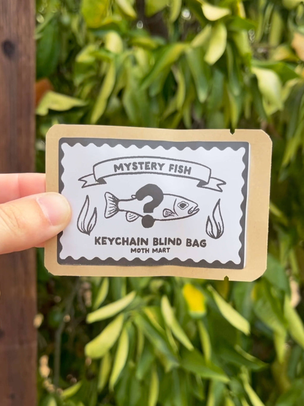 Mystery Gacha Fish Acrylic Keychain Charm