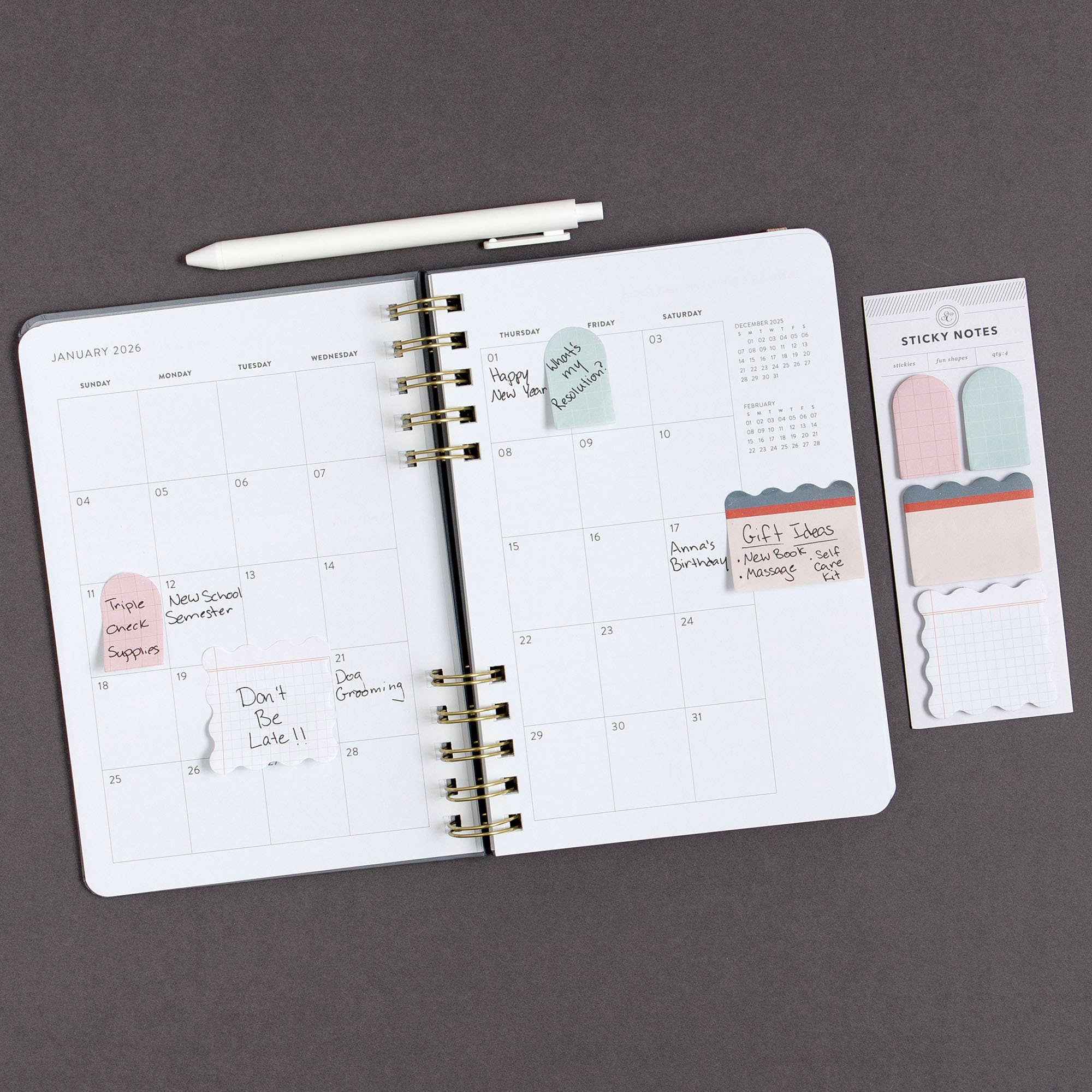 Ledger Sticky Notes Set
