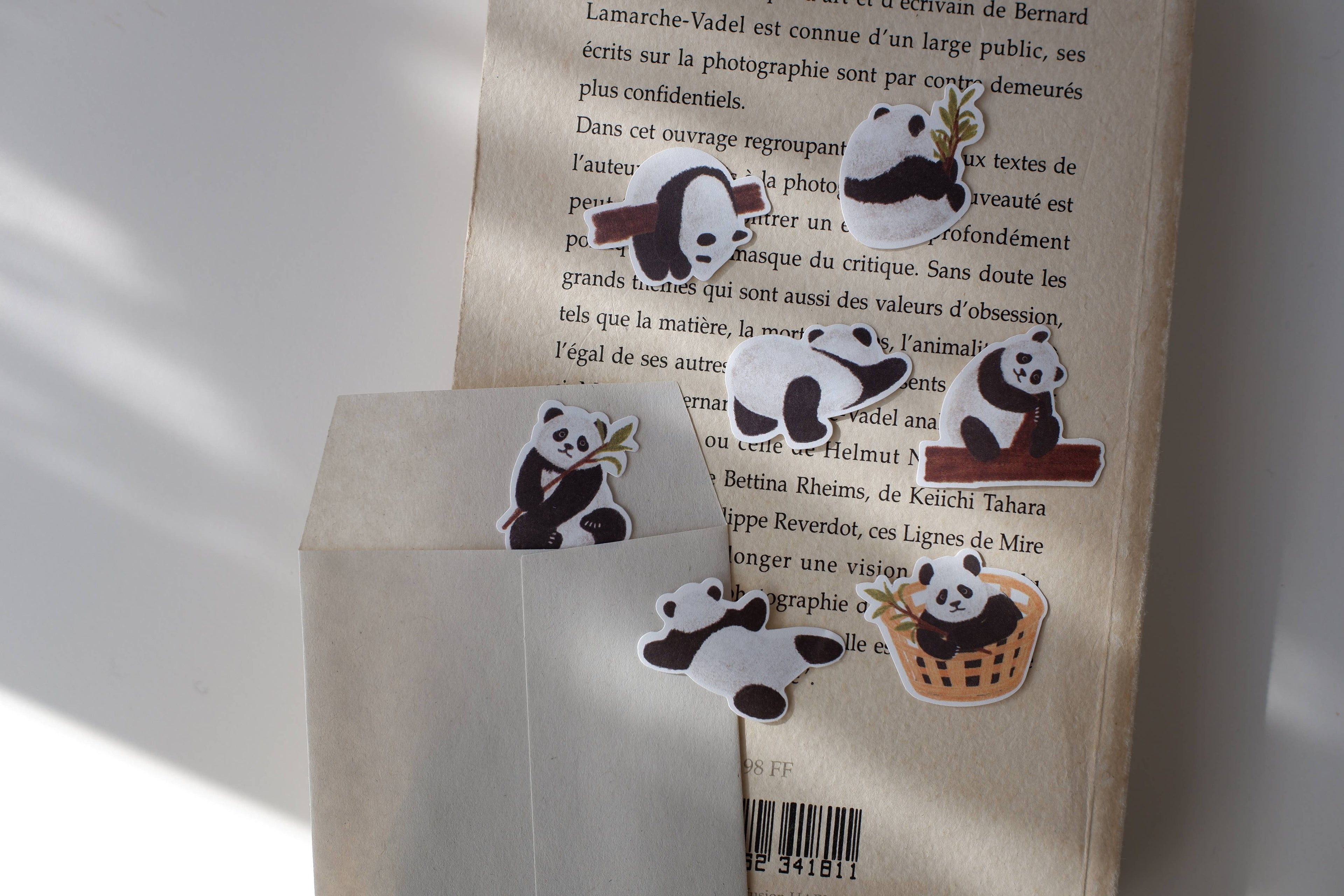 Baby panda