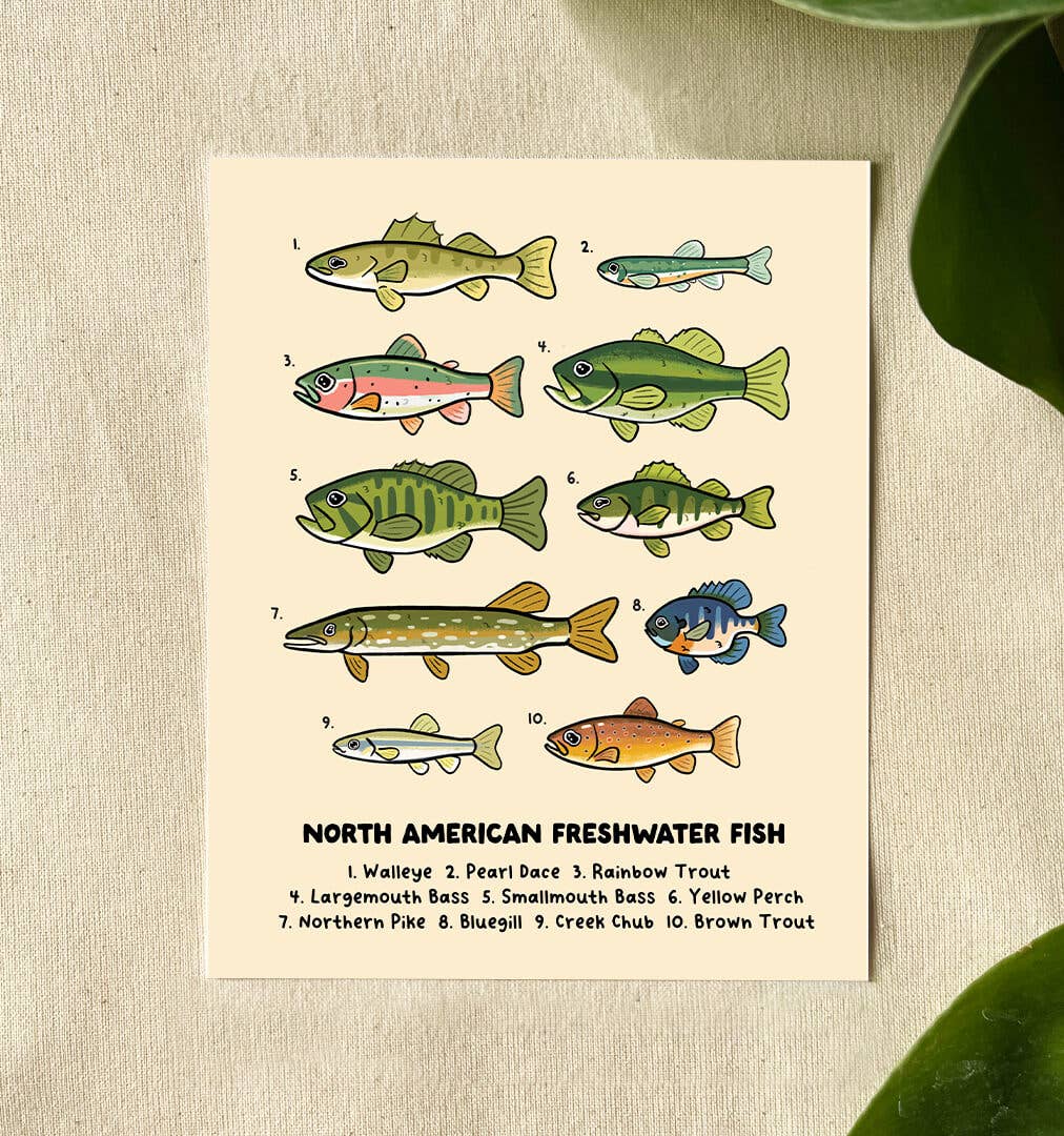 Freshwater Fish Art Print