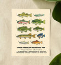 Freshwater Fish Art Print