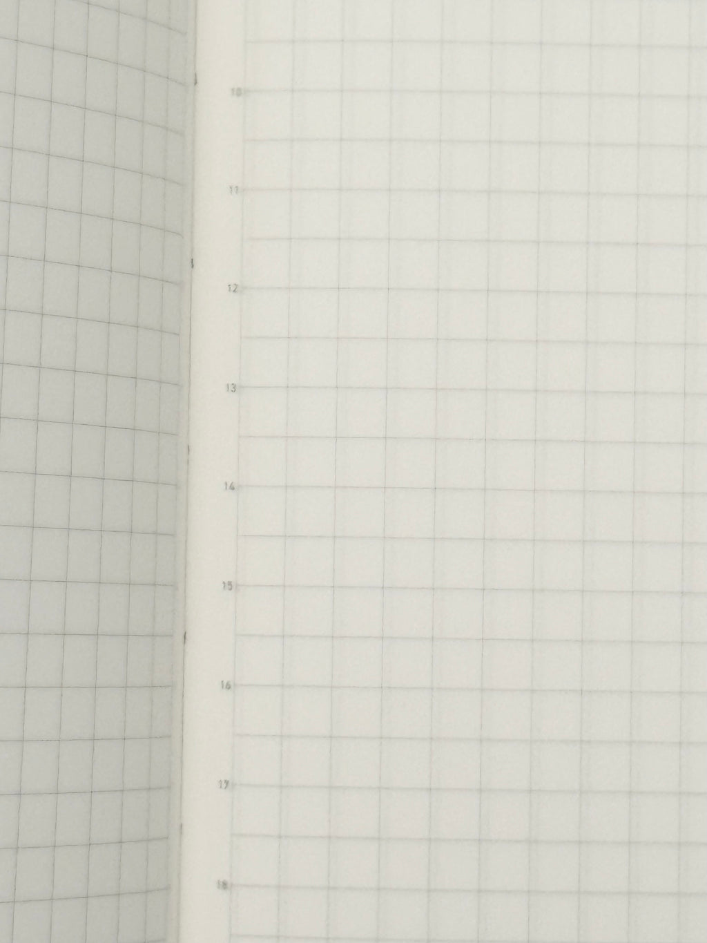 Stalogy 365 Day Notebook - B6