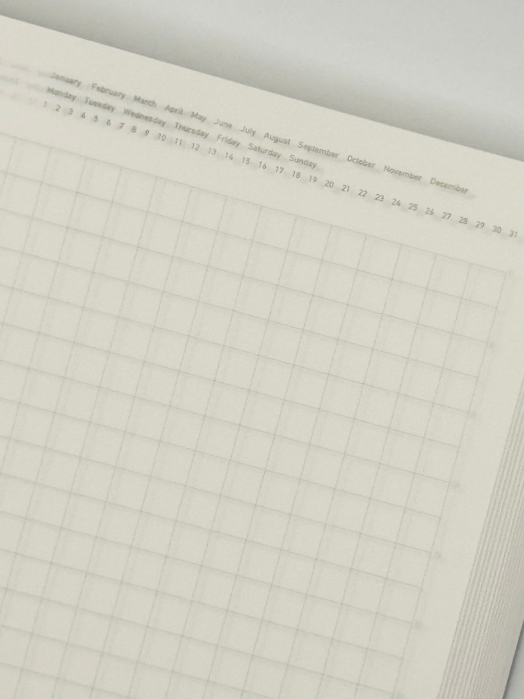 Stalogy 365 Day Notebook - B6