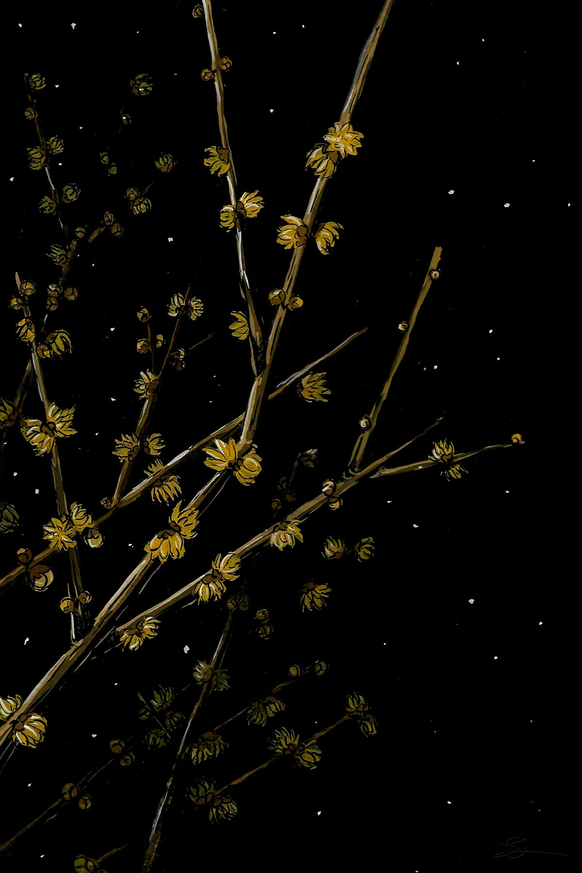 Plum Blossom 4” x 6” Art Print