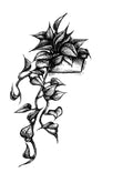 Pothos Vinyl Sticker