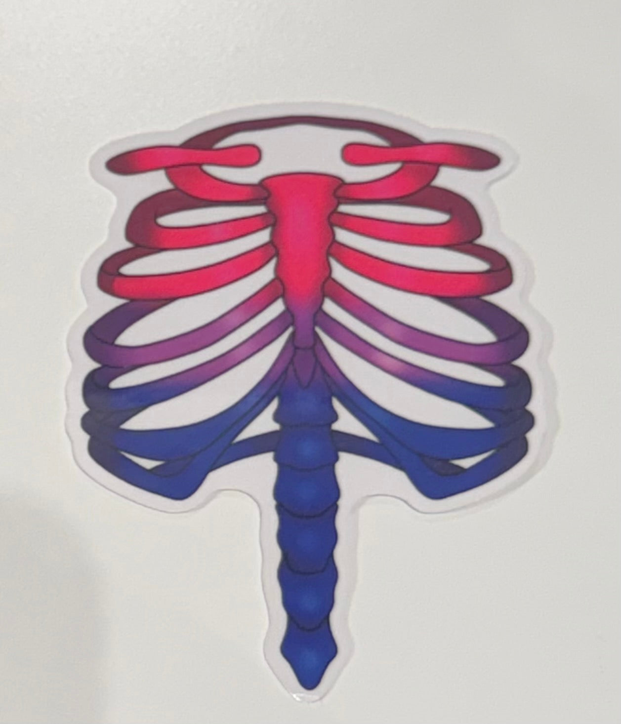 Pride Flag Rib Stickers