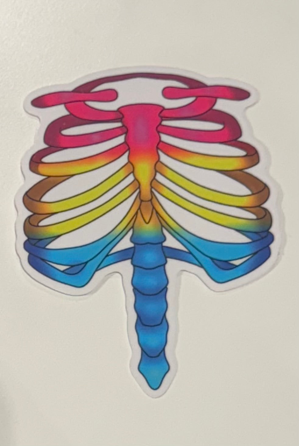 Pride Flag Rib Stickers