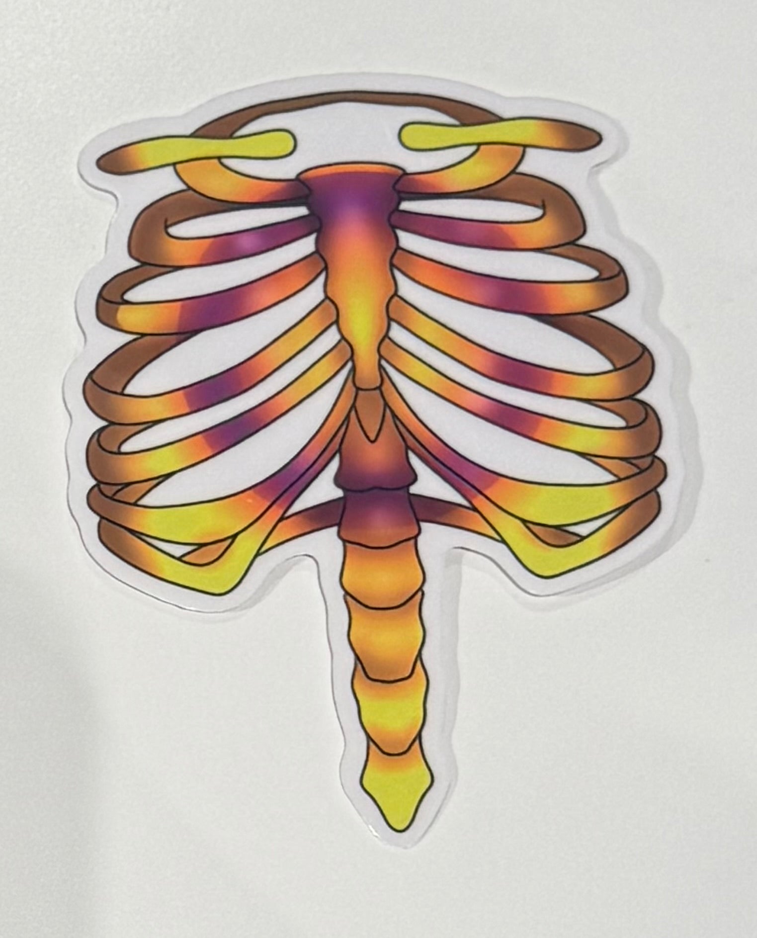 Pride Flag Rib Stickers