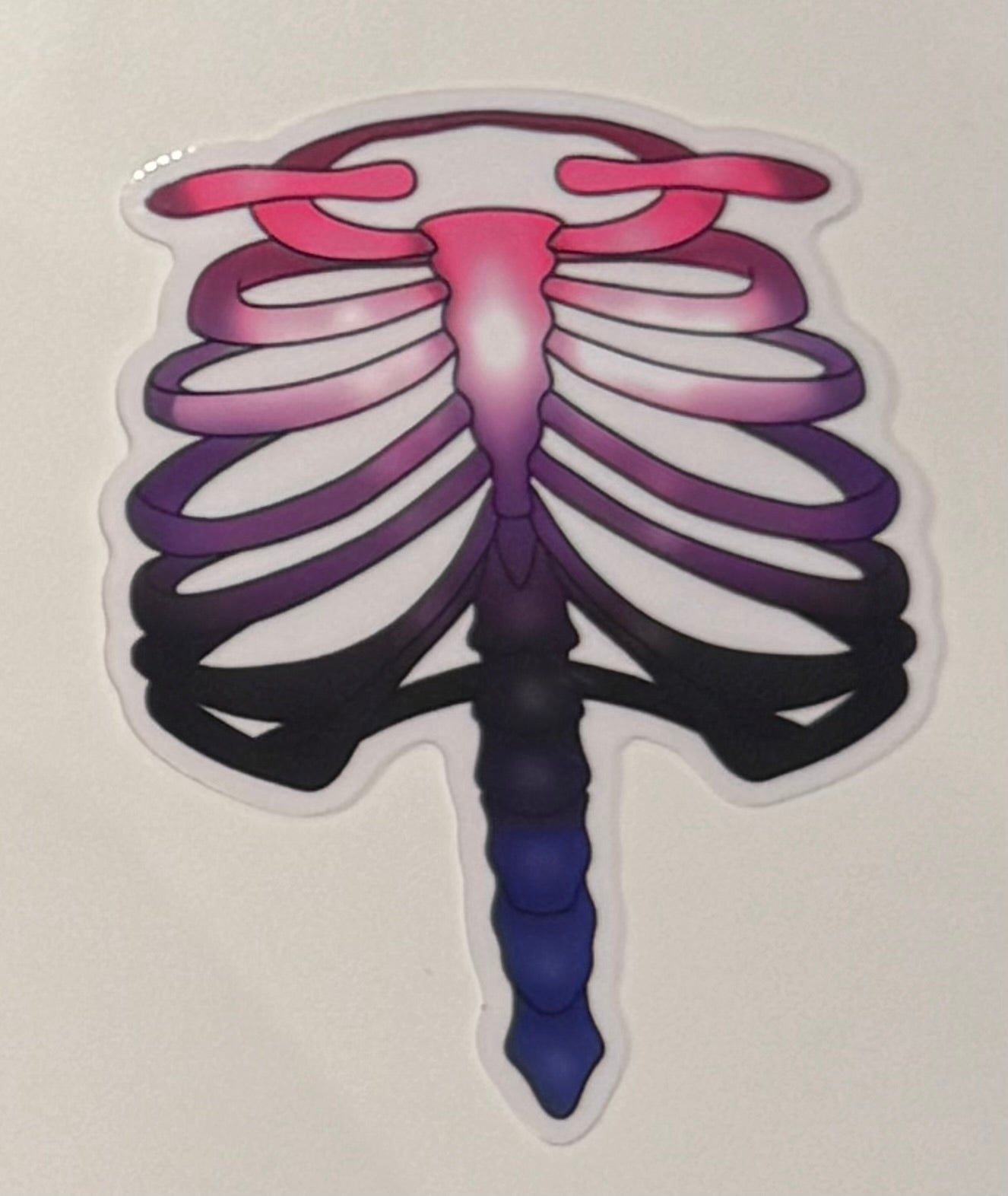 Pride Flag Rib Stickers