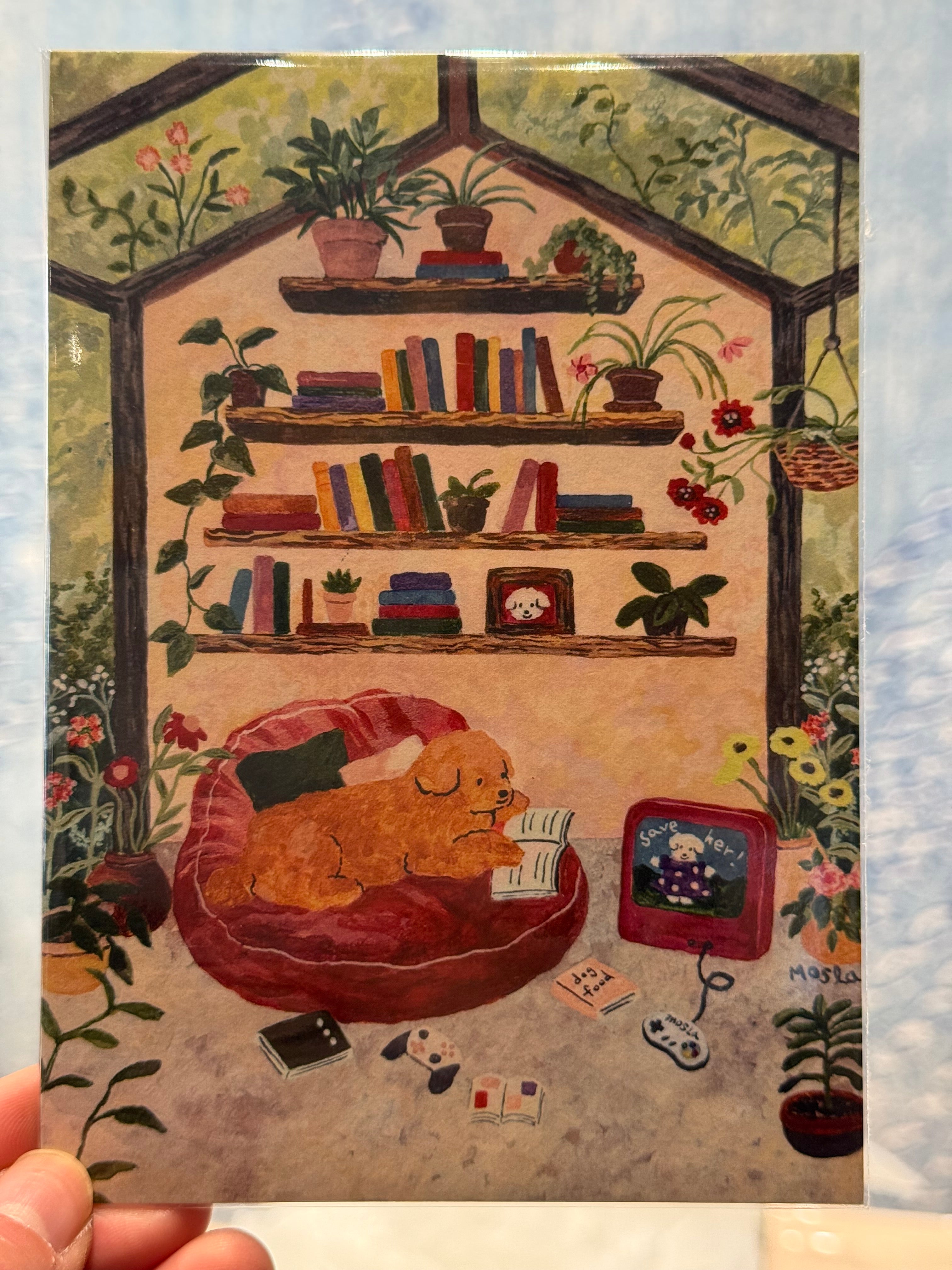 The Book & Game Cave