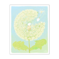 One With the Wind Print