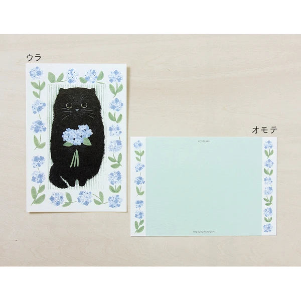 4legs Postcard - Black Cat