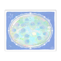 Planet Seal Print