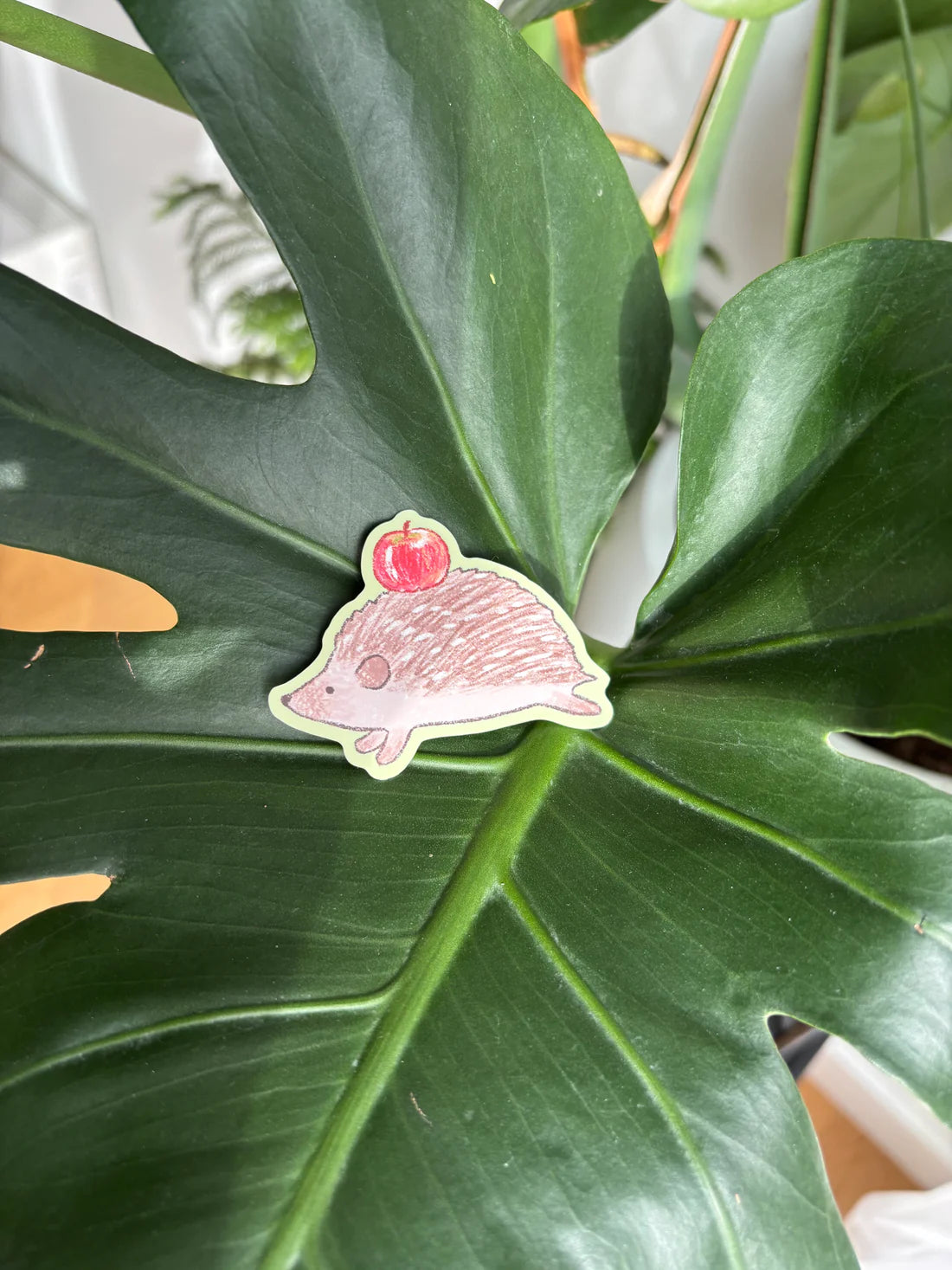 kismet.ooo Sticker - Hedgehog