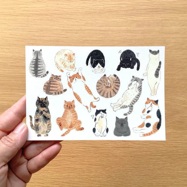 4legs Postcard - I Love Cats