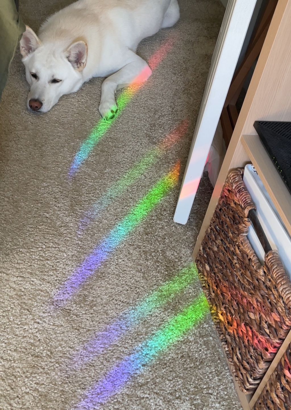 Moon Motel Rainbow Maker Decal Sun Catcher