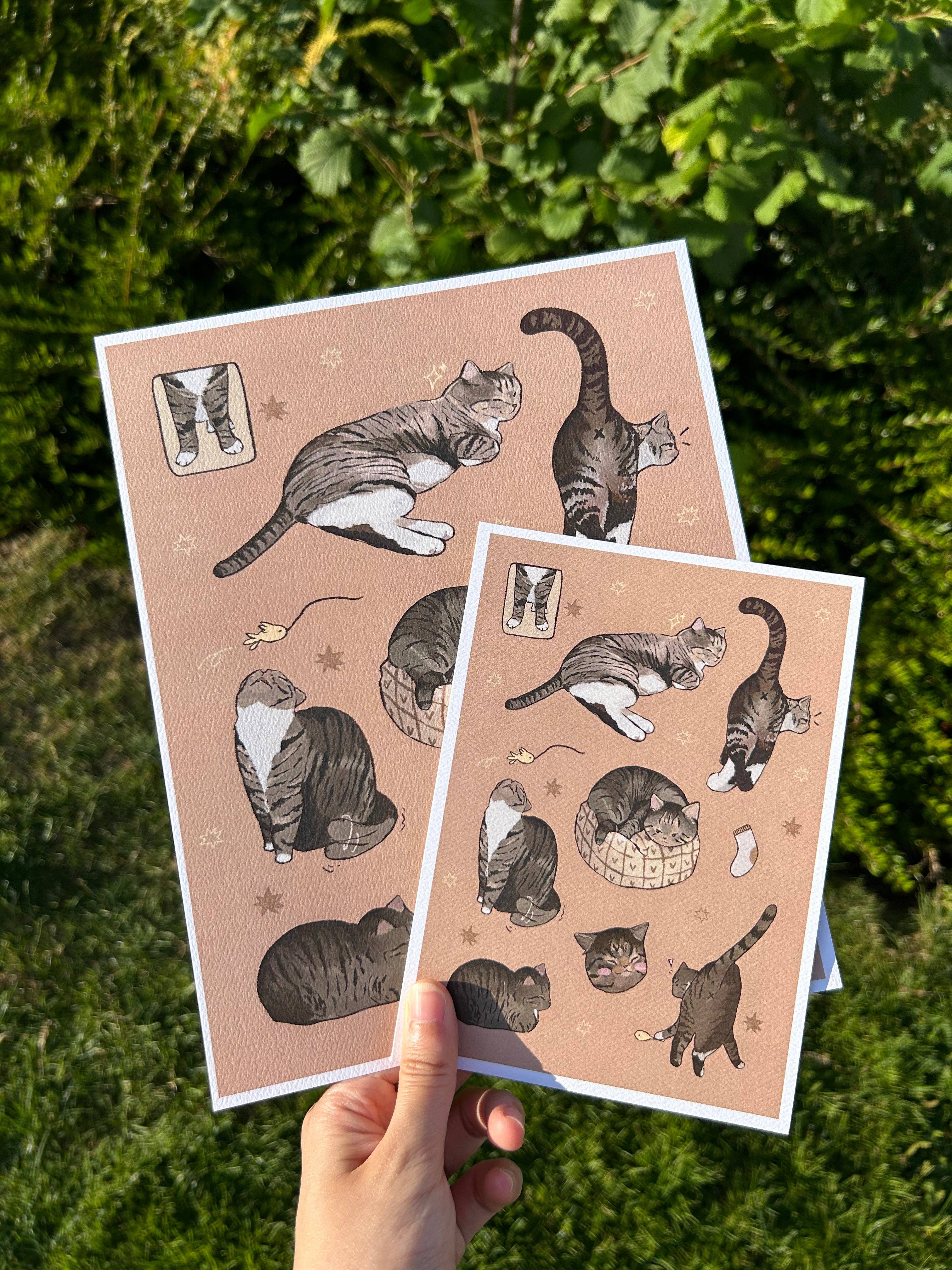 Tabby Cat Print